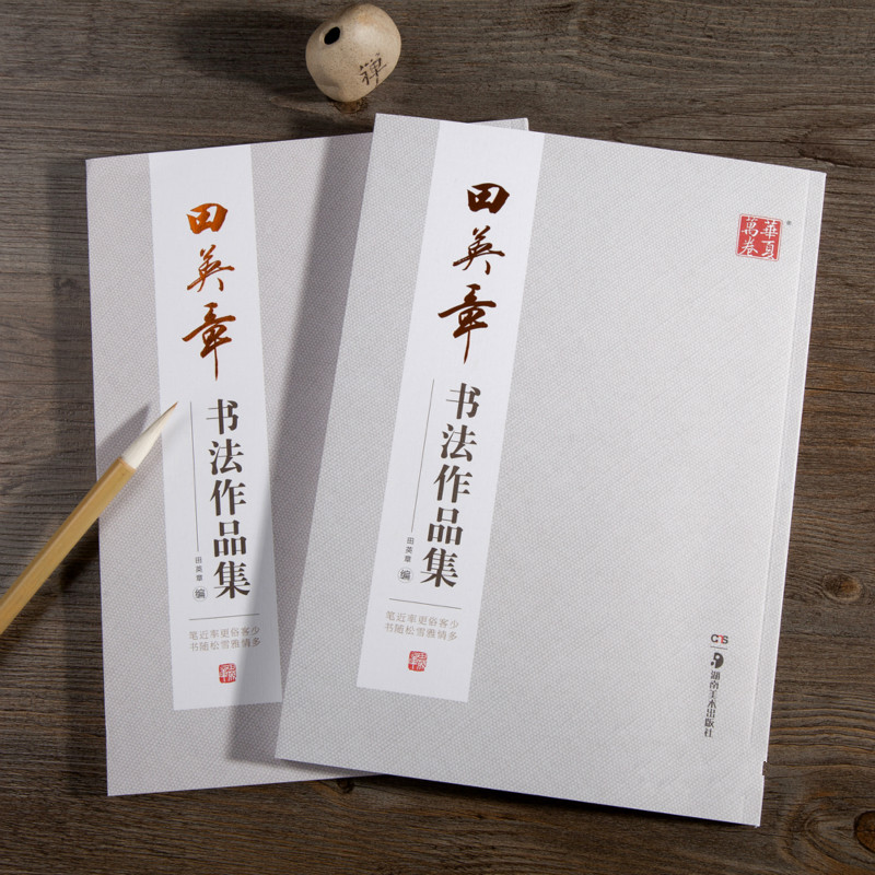 Quaderno di calligrafia pennel - Chinese Calligraphy Practice Book recensione e prezzo