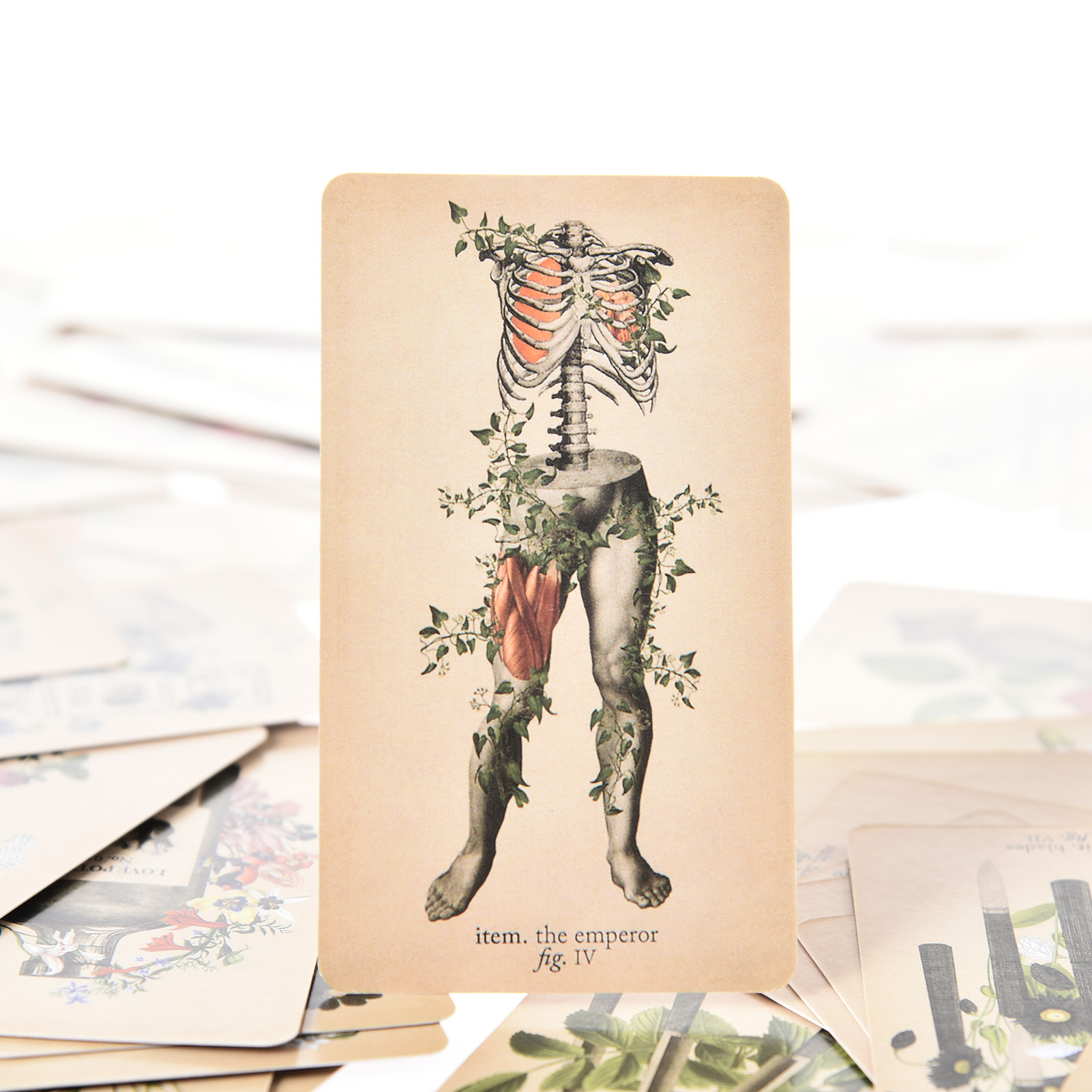 Le Carte dei Tarocchi dell'Ana - Tarot Deck With Guidebook recensione e prezzo